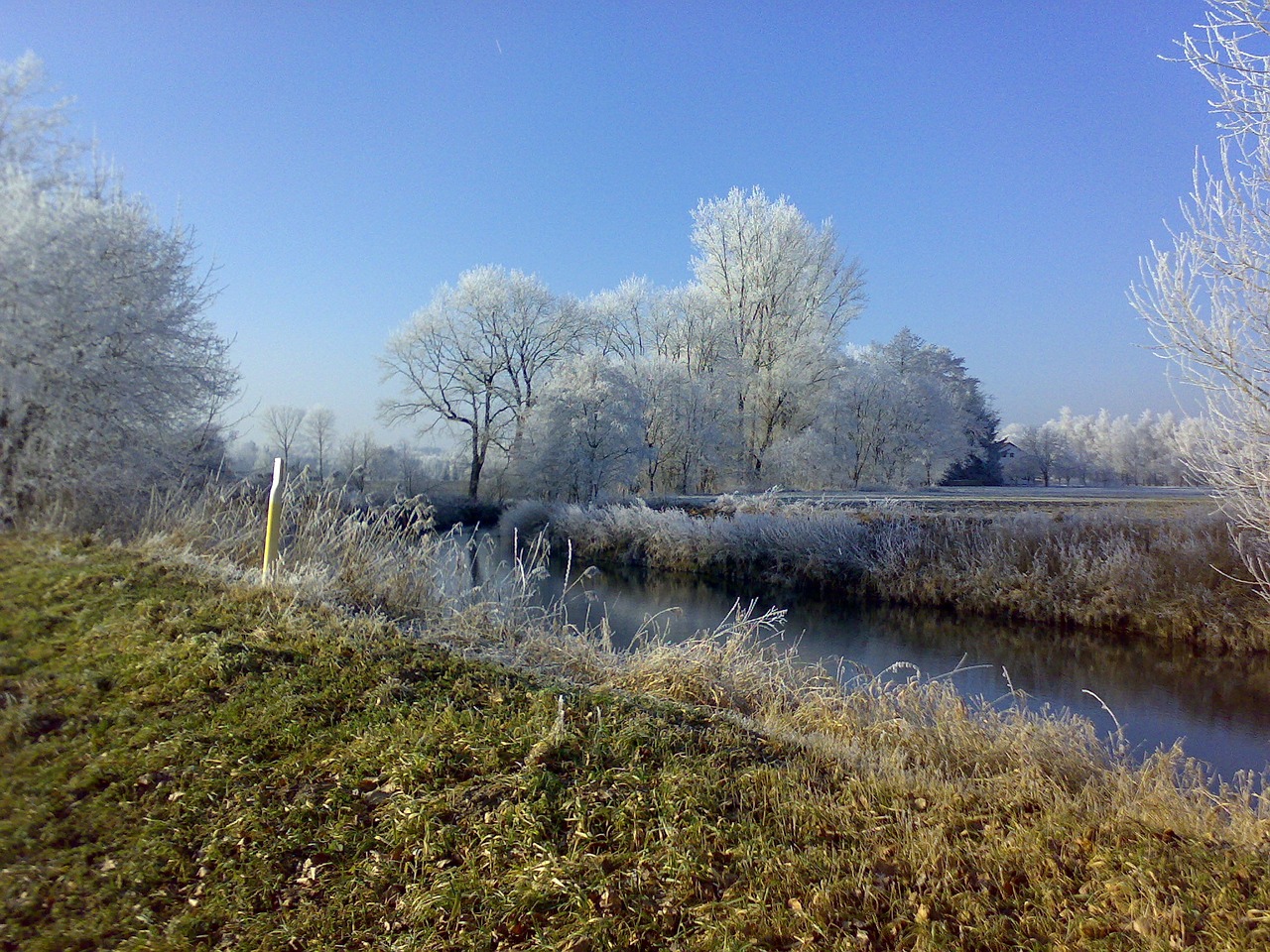 winter river hoarfrost free photo