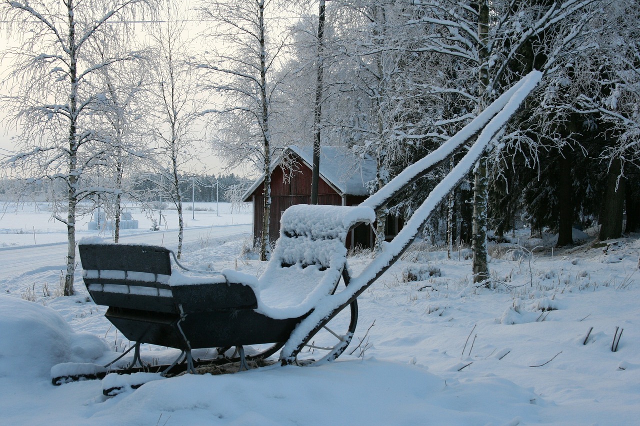 winter sleigh snow free photo
