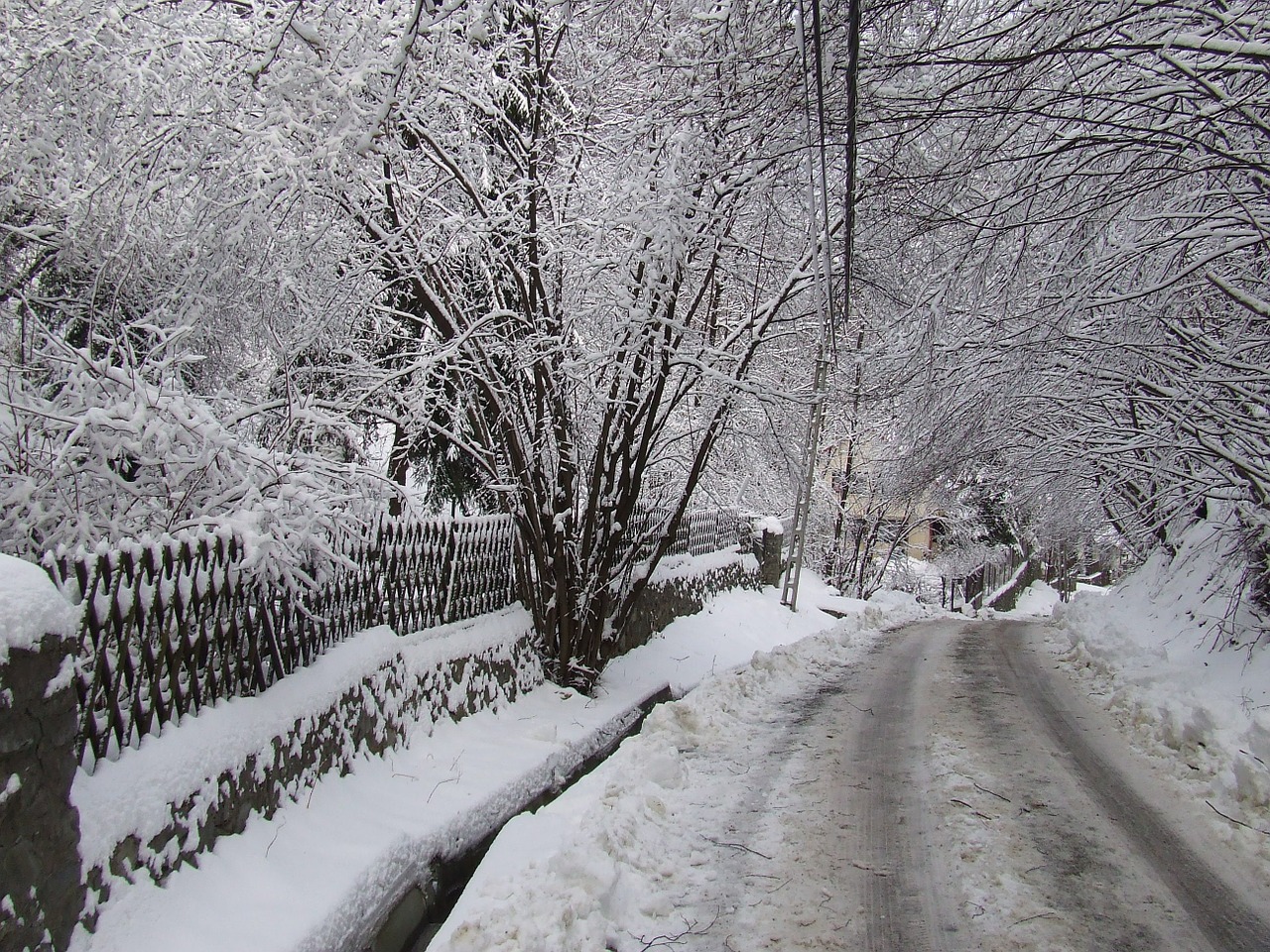 winter nature ómassa free photo