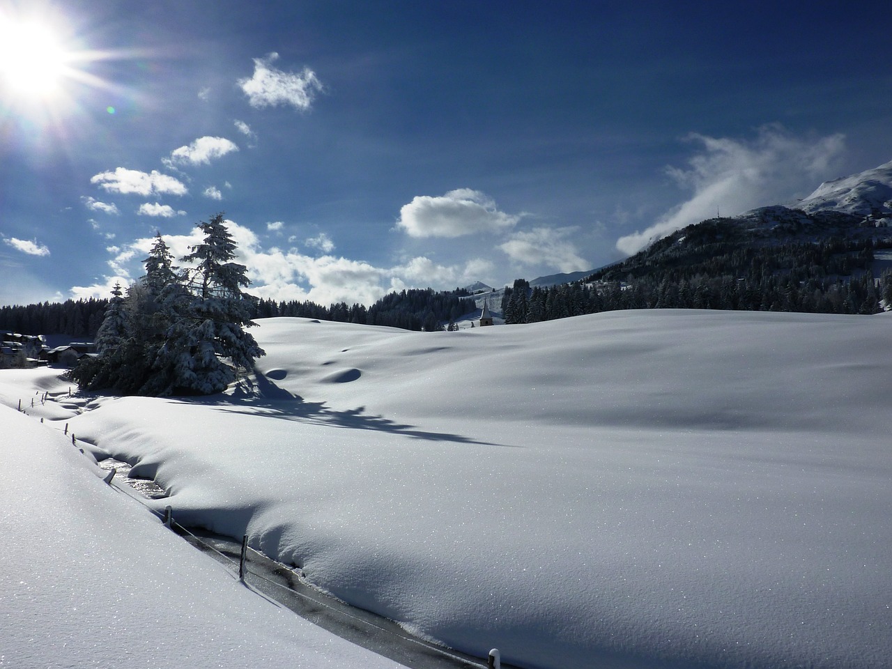 winter snow wintry free photo