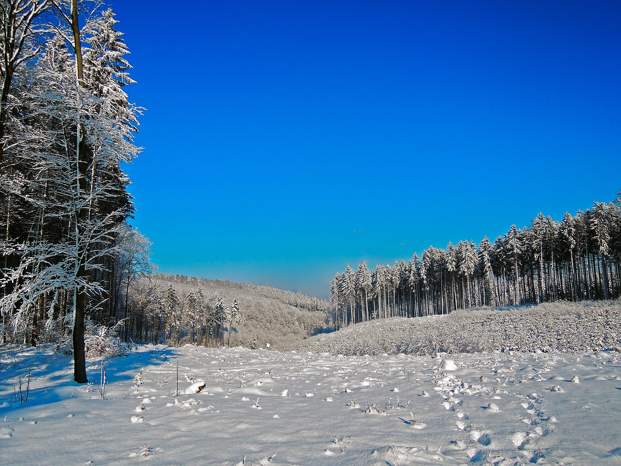 winter panorama snow free photo