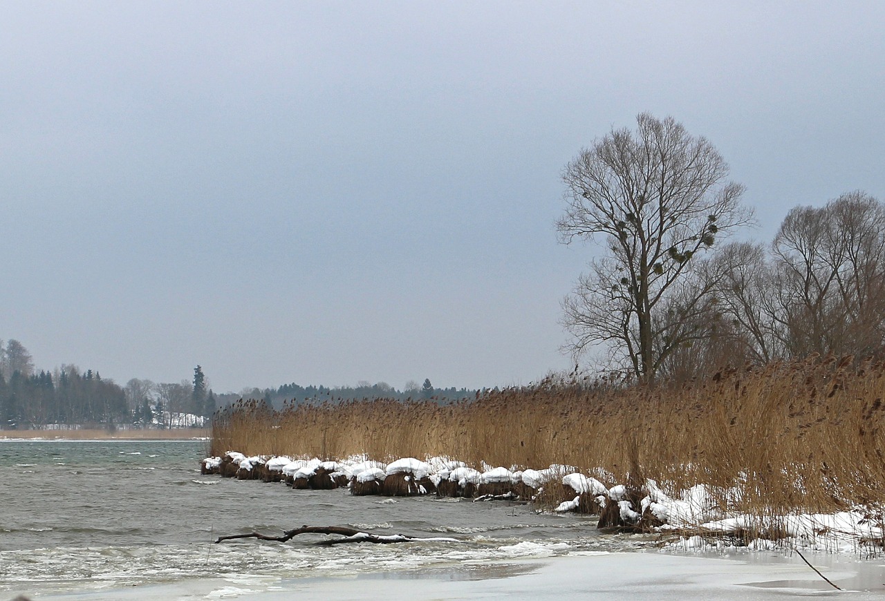 winter snow bank free photo