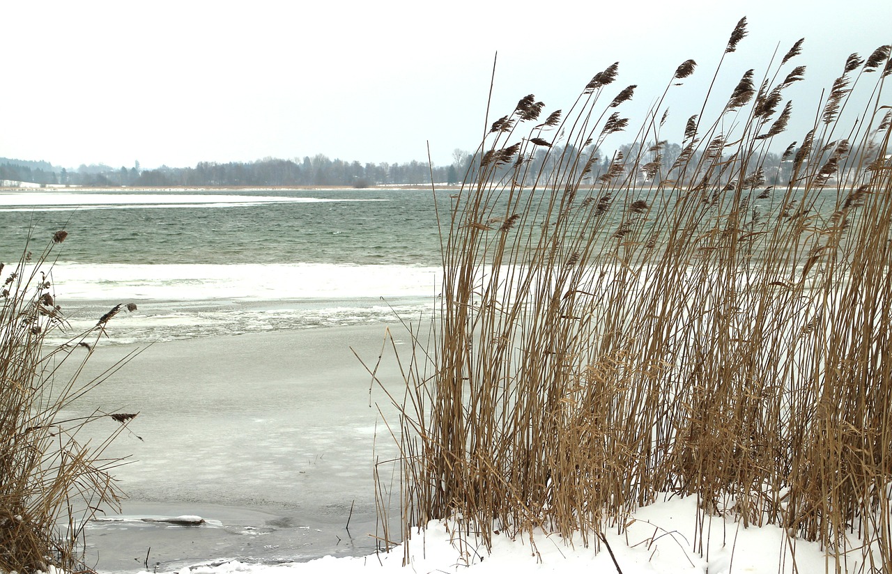 winter snow bank free photo