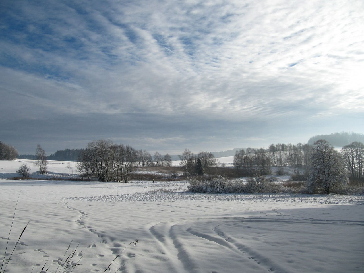 winter landscape snow free photo