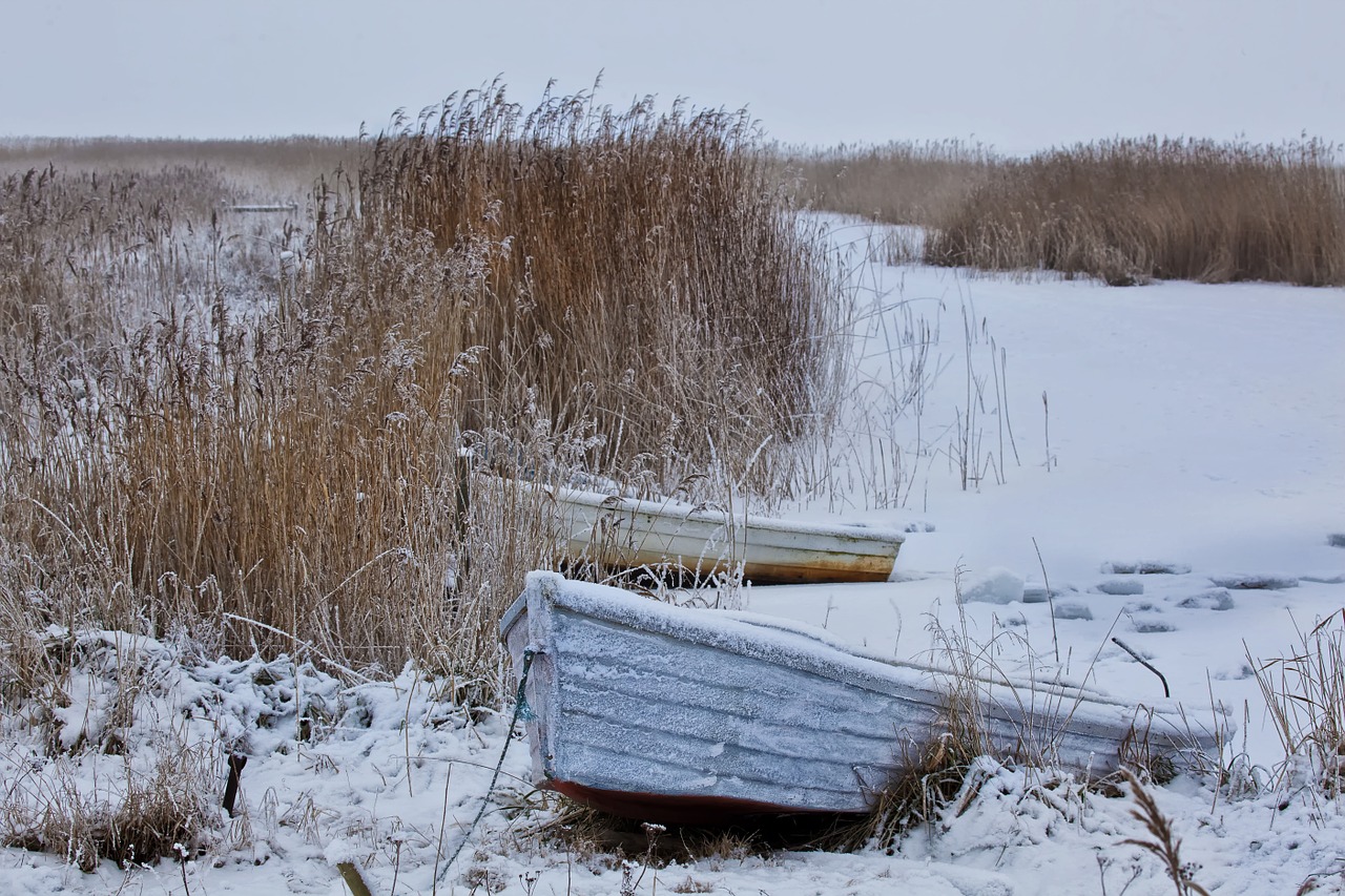 winter snow wintry free photo