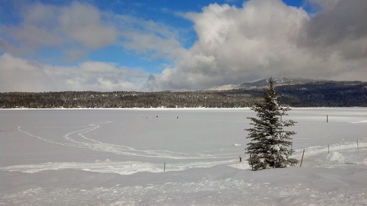 winter frozen lake free photo