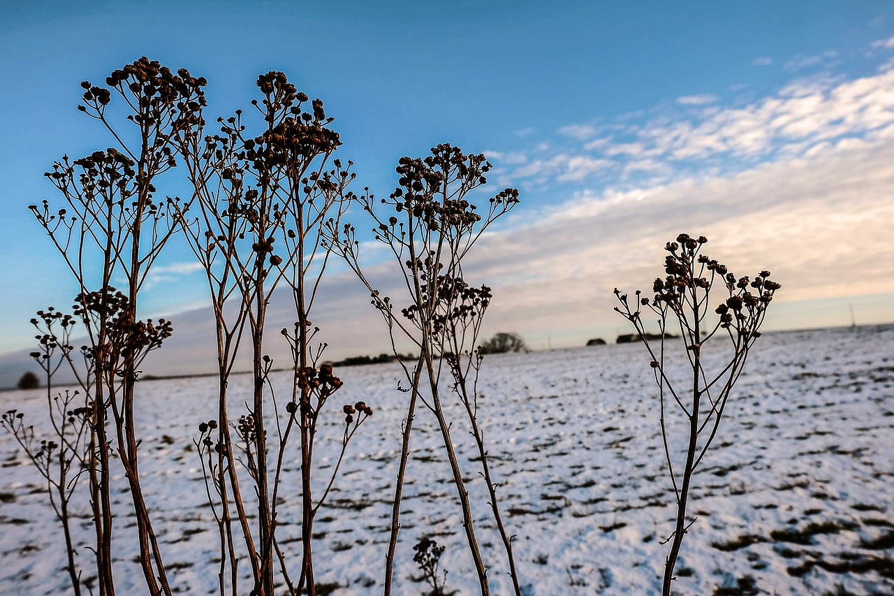 winter clouds sky free photo