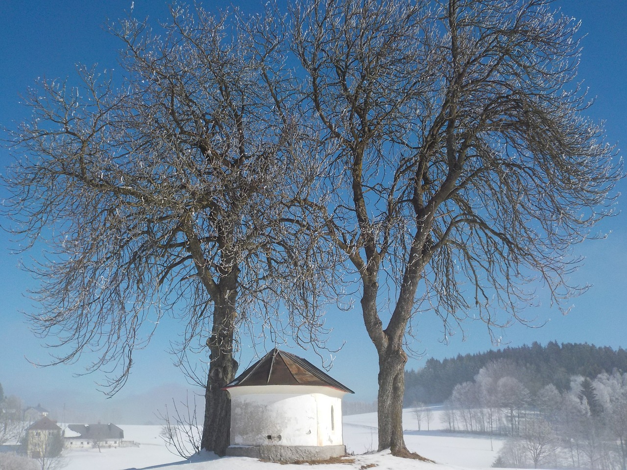 winter chapel frost free photo