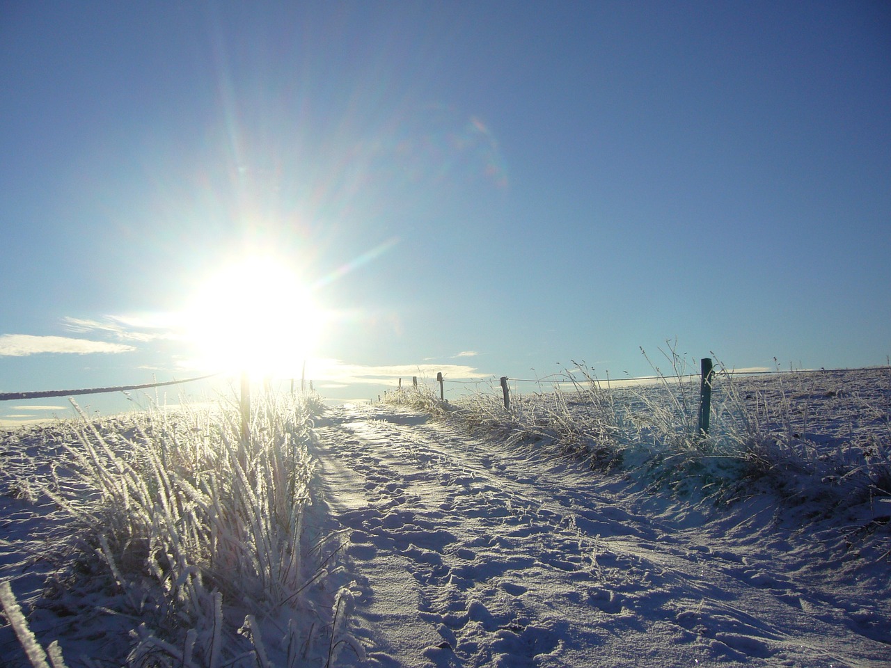 winter sun back light free photo