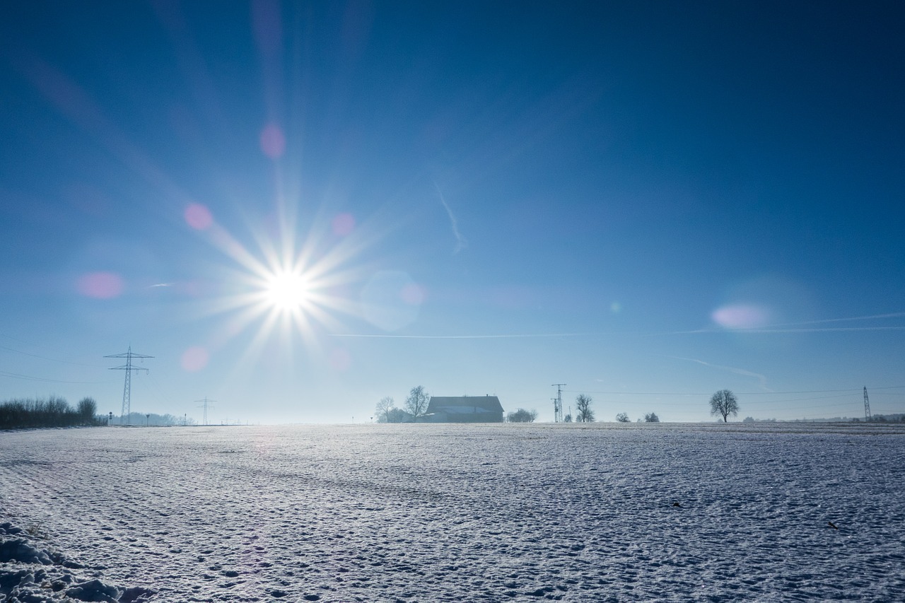 winter snow wintry free photo