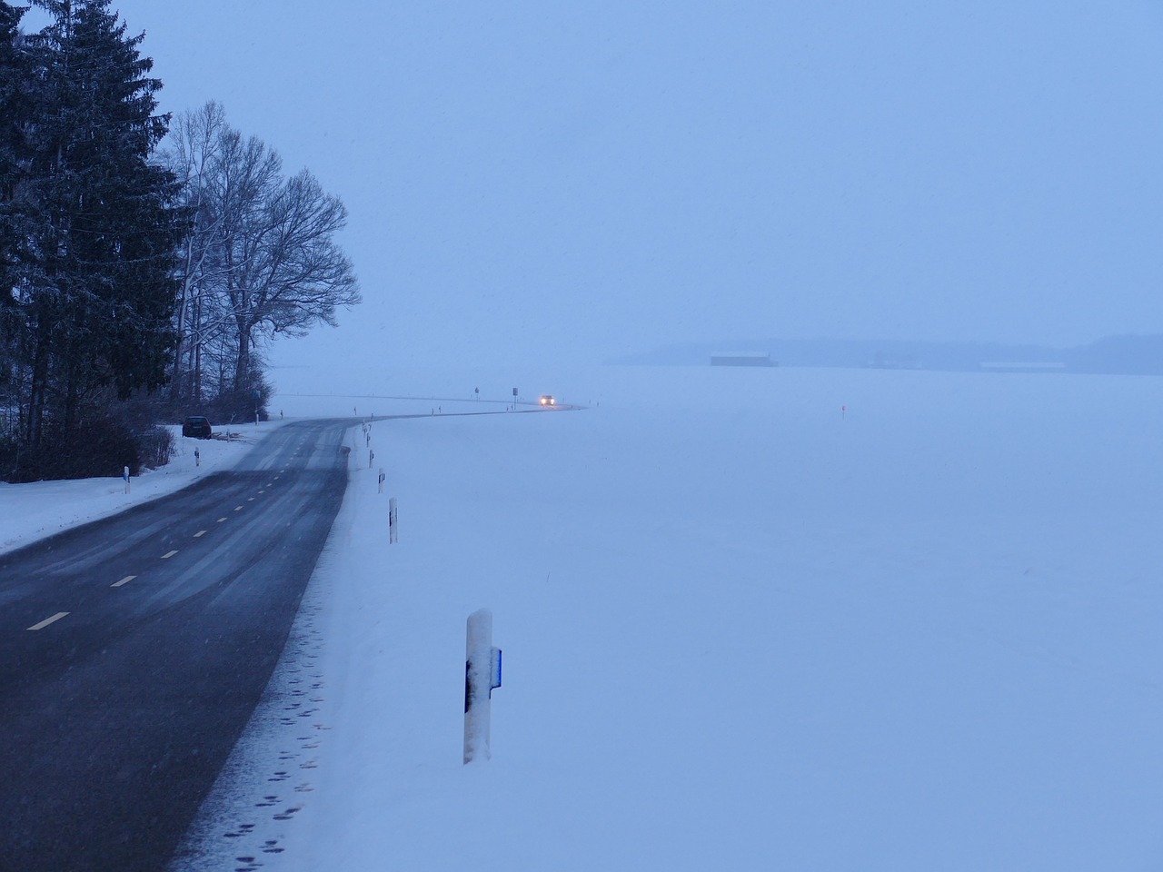 winter snow snowy free photo