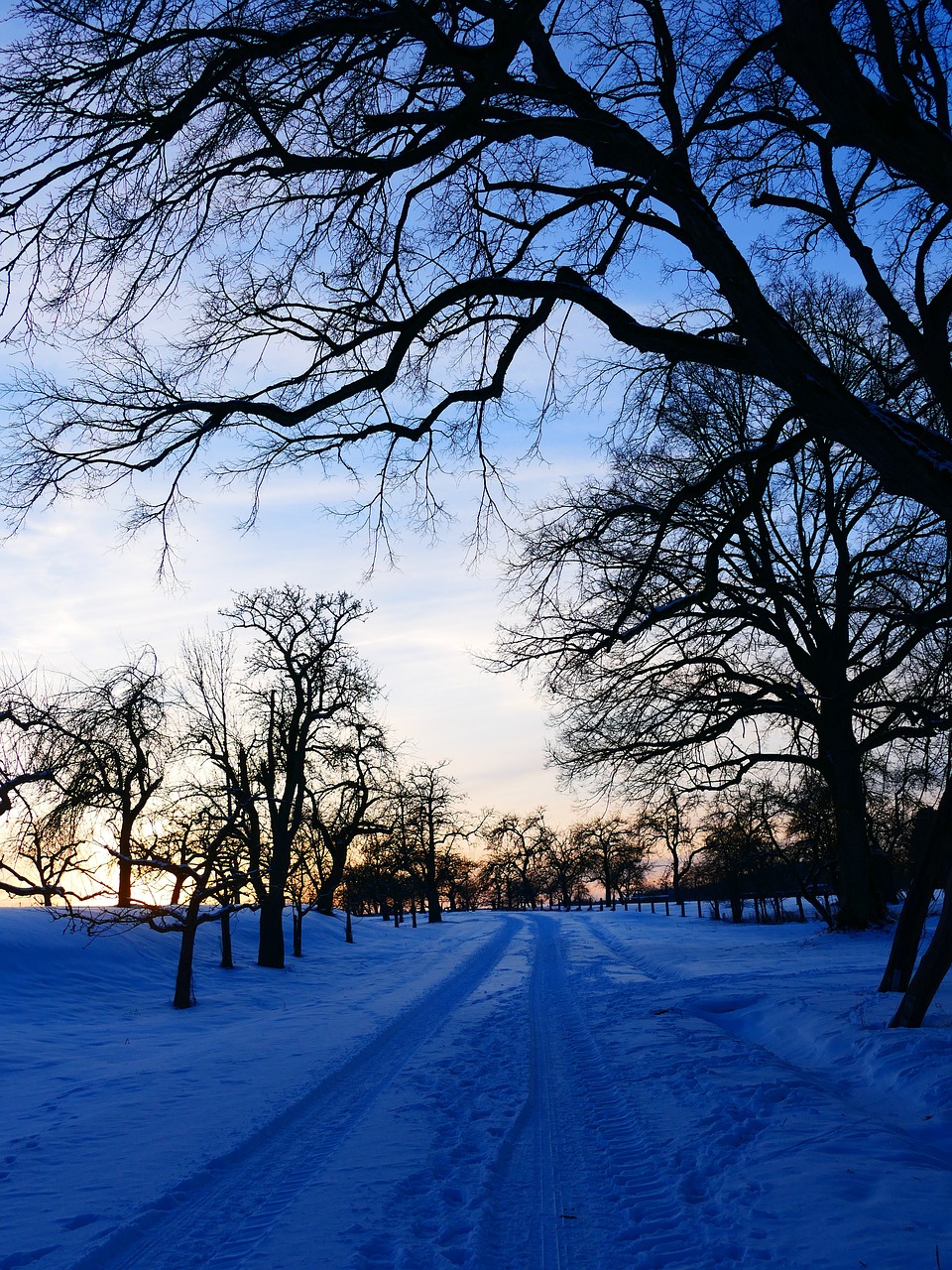 winter landscape snow free photo