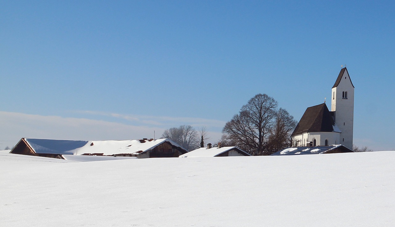 winter snow wintry free photo