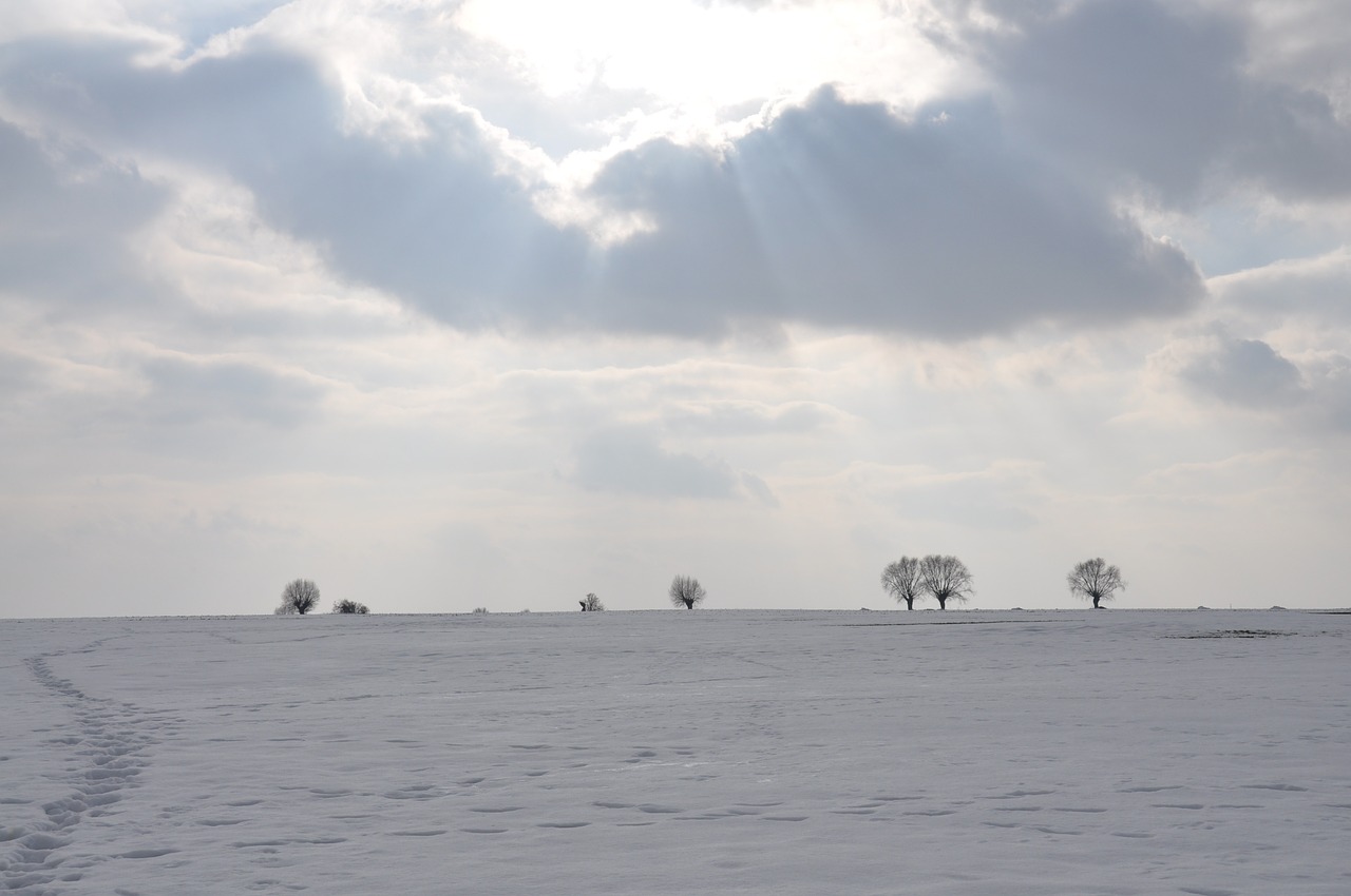 winter snow frost free photo