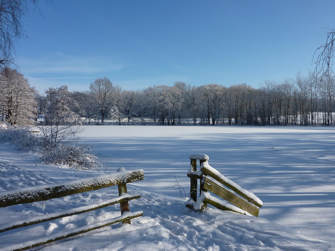 winter landscape pond free photo