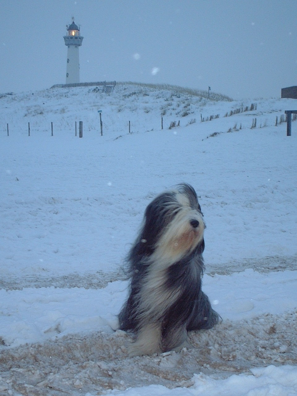 winter snow lighthouse free photo