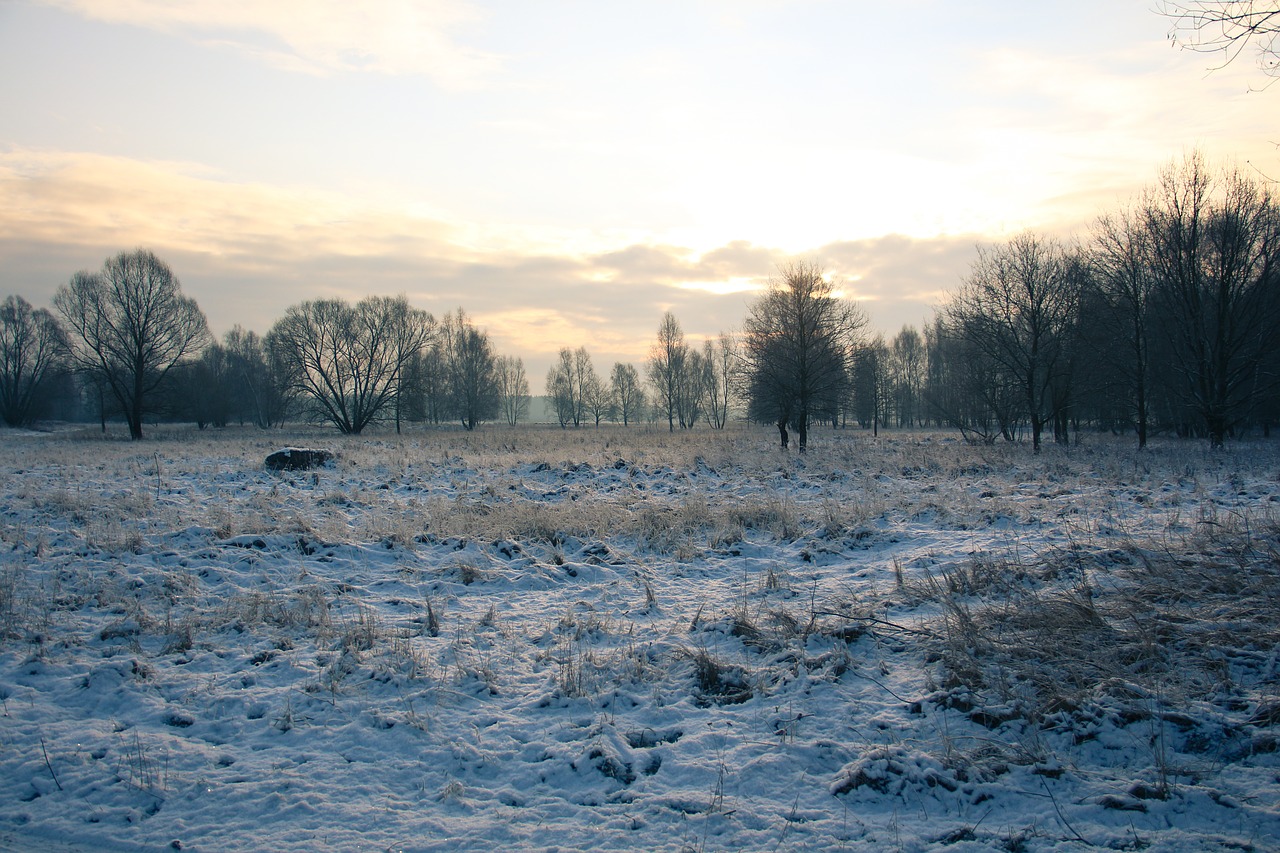 winter landscape snow free photo