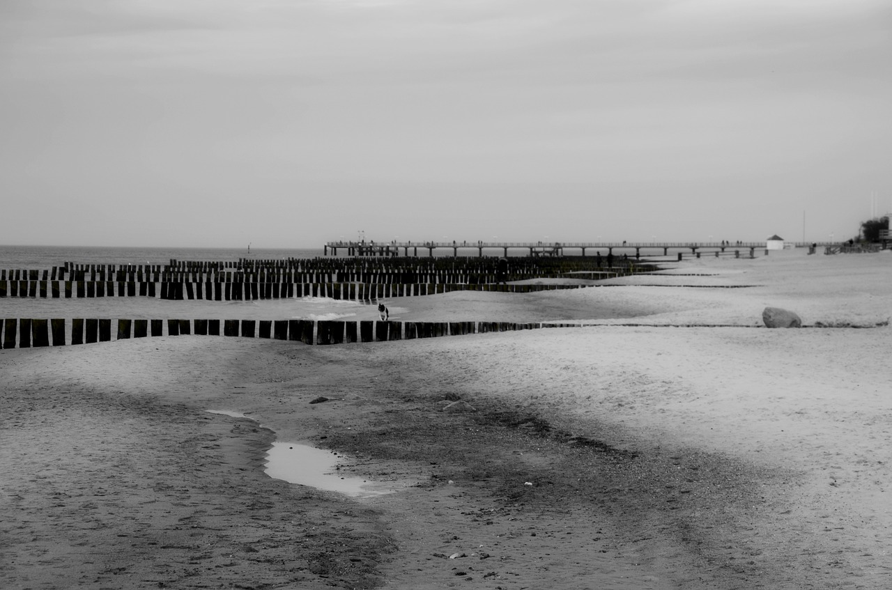 winter beach silent free photo