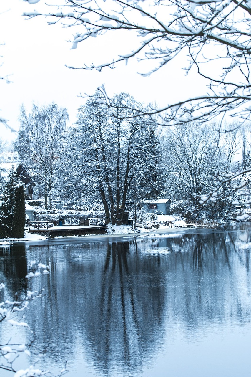 winter snow bank free photo