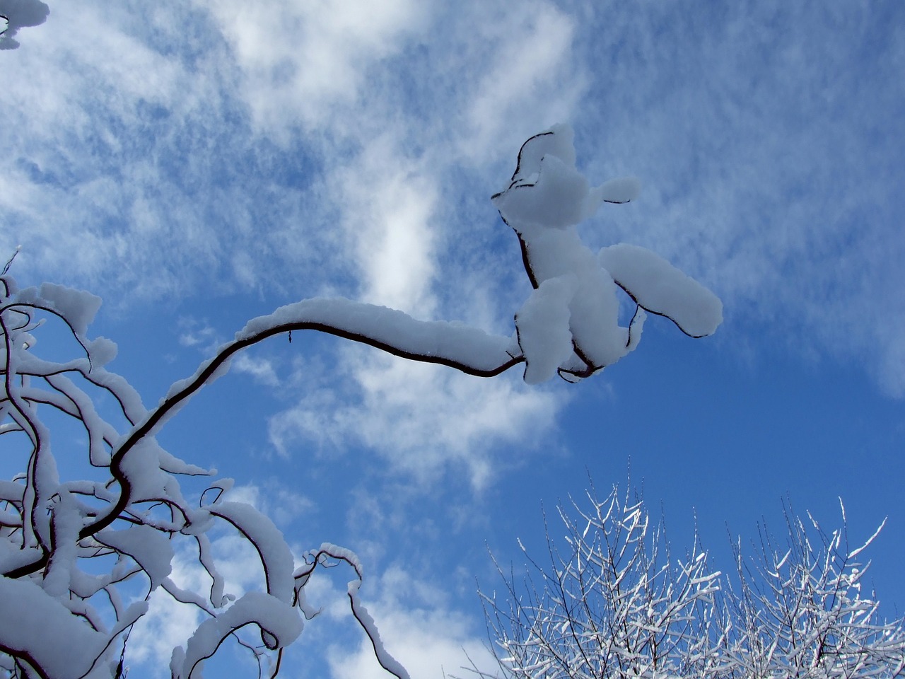 winter sky snow free photo