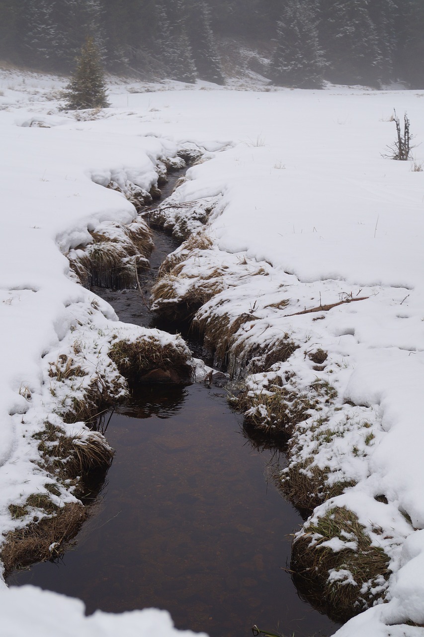 winter snow stream free photo