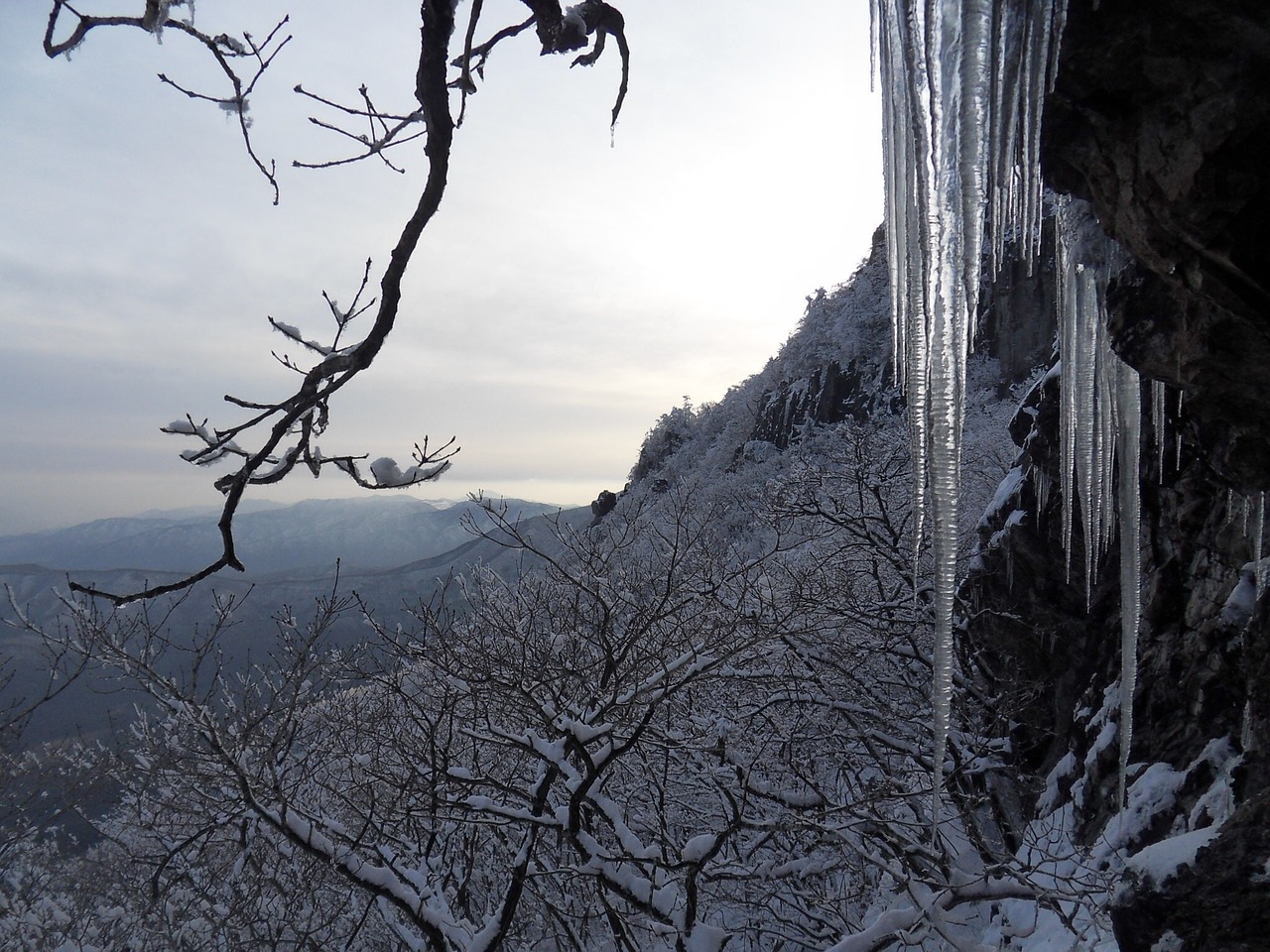 winter icicle earl name free photo