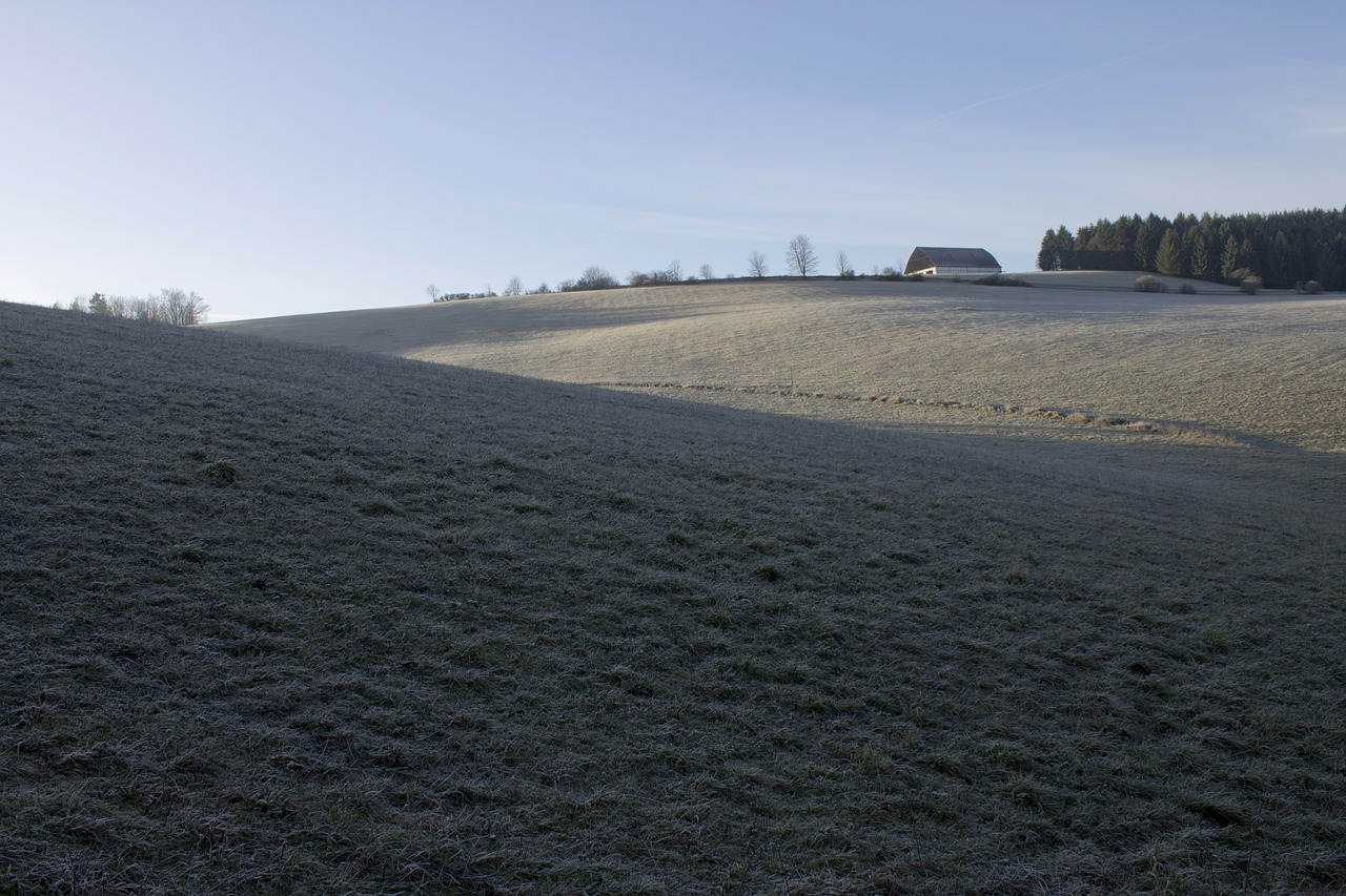 winter frost landscape free photo
