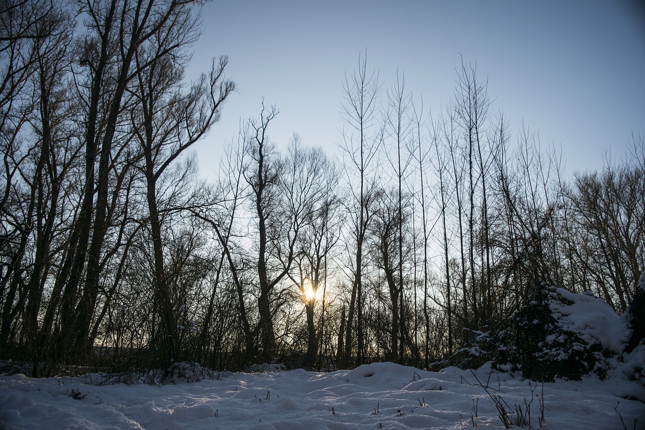 winter landscape snow free photo