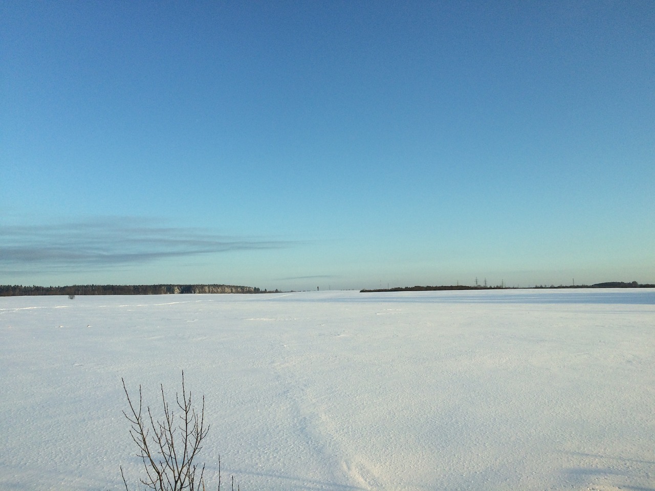 winter cold field free photo