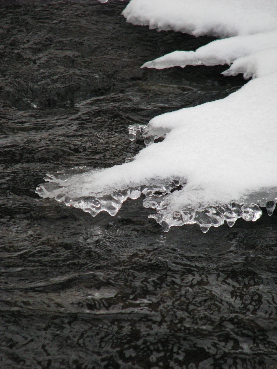 winter stream ice free photo