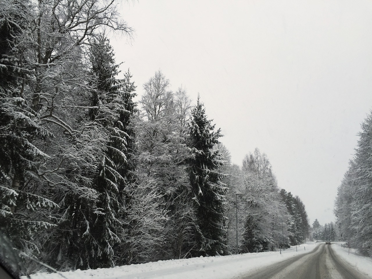 winter road snow free photo