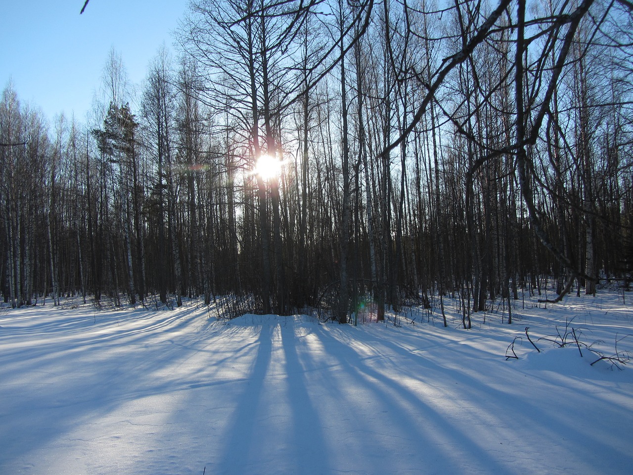 winter sunrise snow free photo