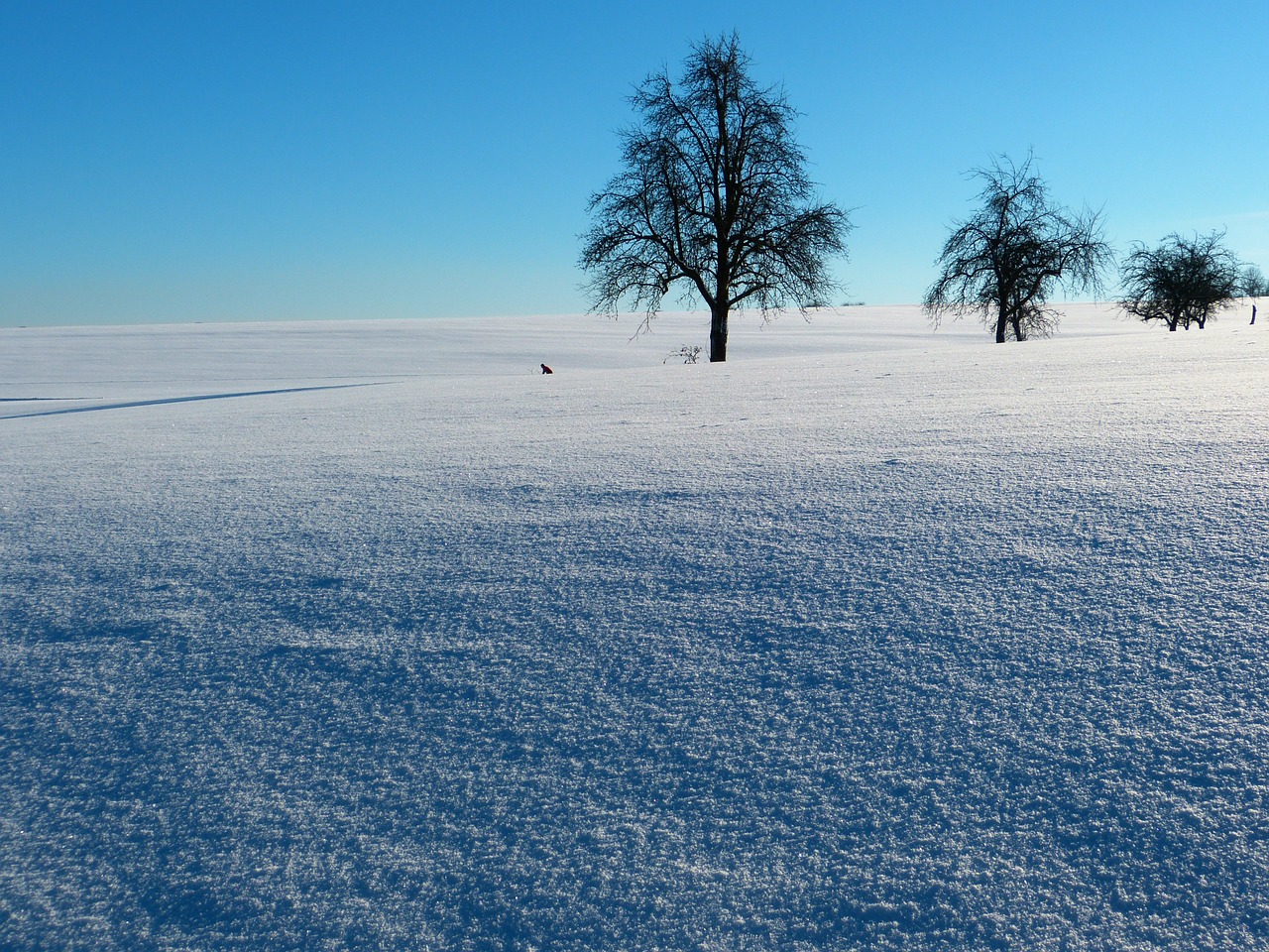 winter snow landscape free photo