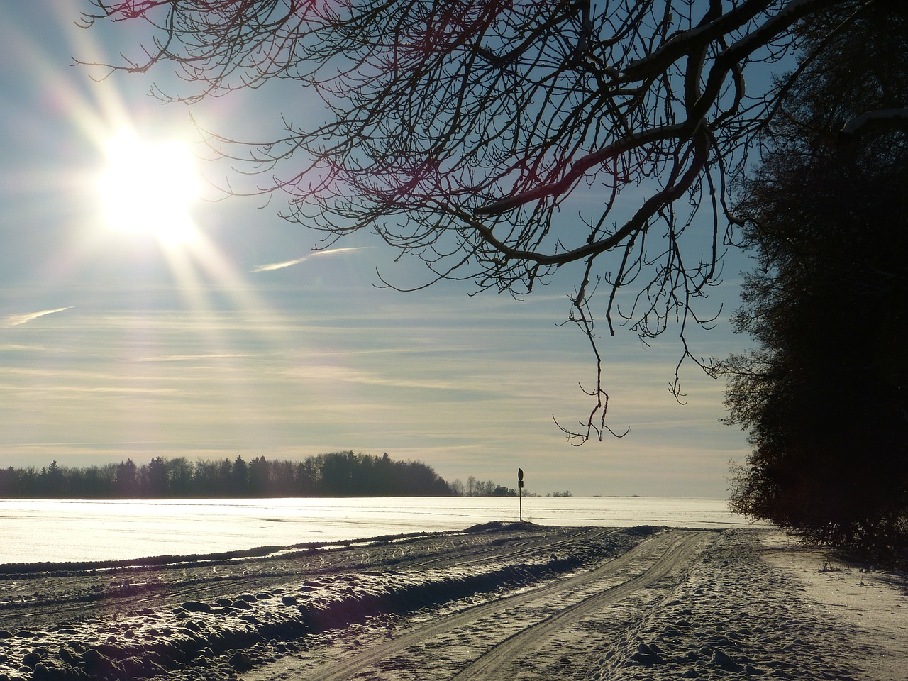 winter snow landscape free photo