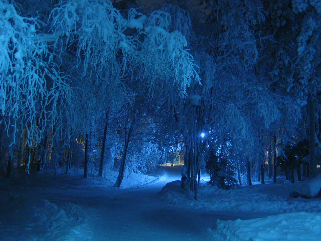 winter night blue free photo