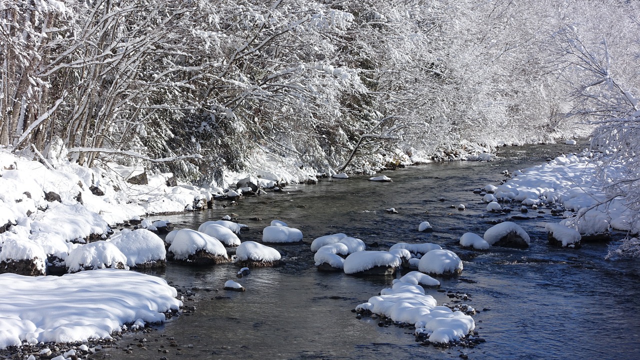 winter snow bach free photo