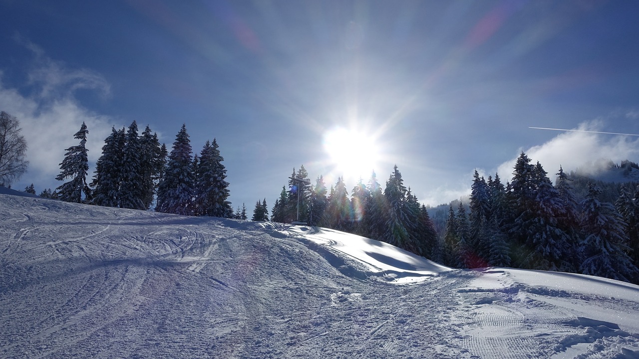 winter landscape snow free photo