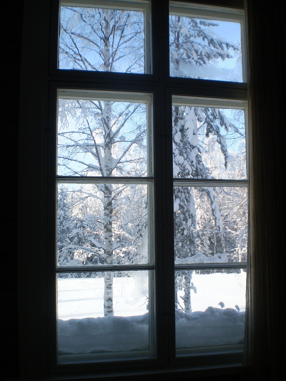 winter window view free photo