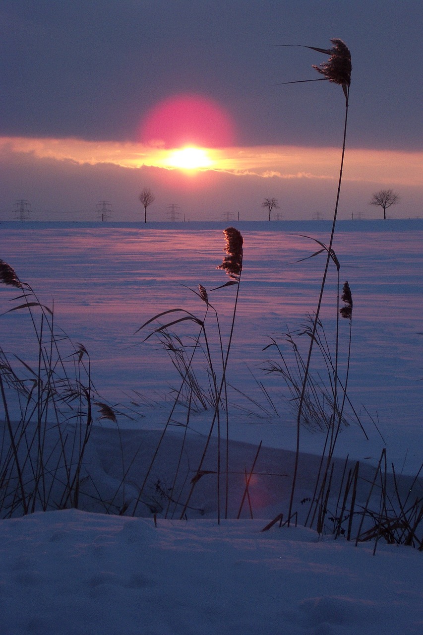 winter snow sunset free photo