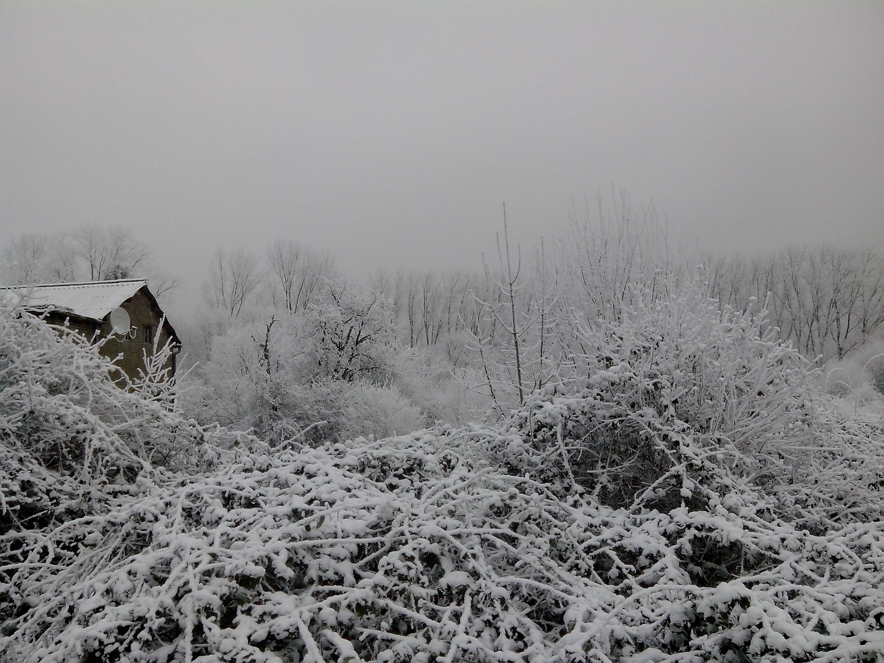 winter snow winter landscape free photo