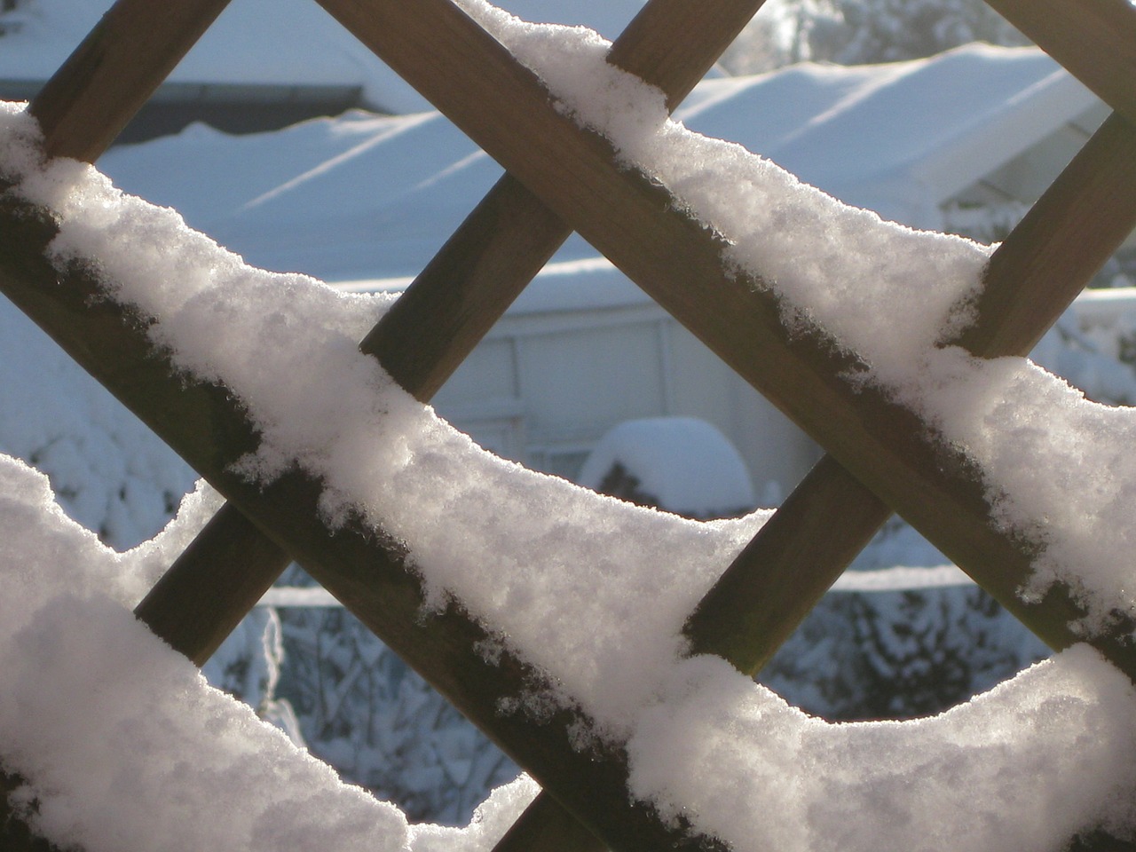 winter winter magic frost free photo