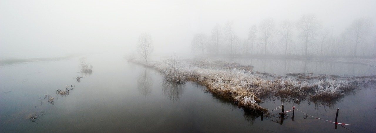 winter fog niers free photo