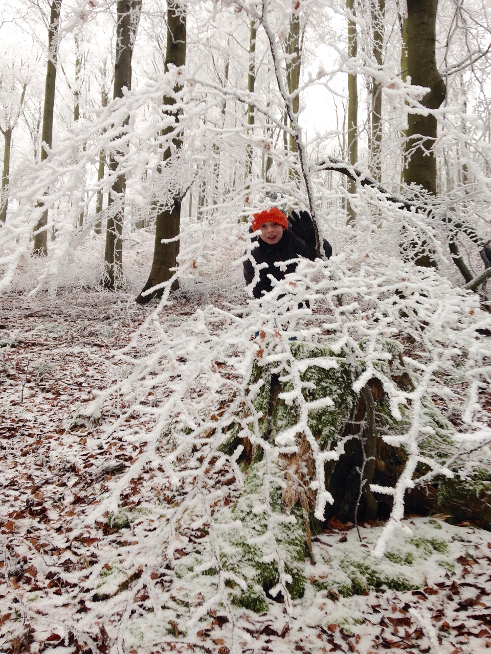 winter child forest free photo