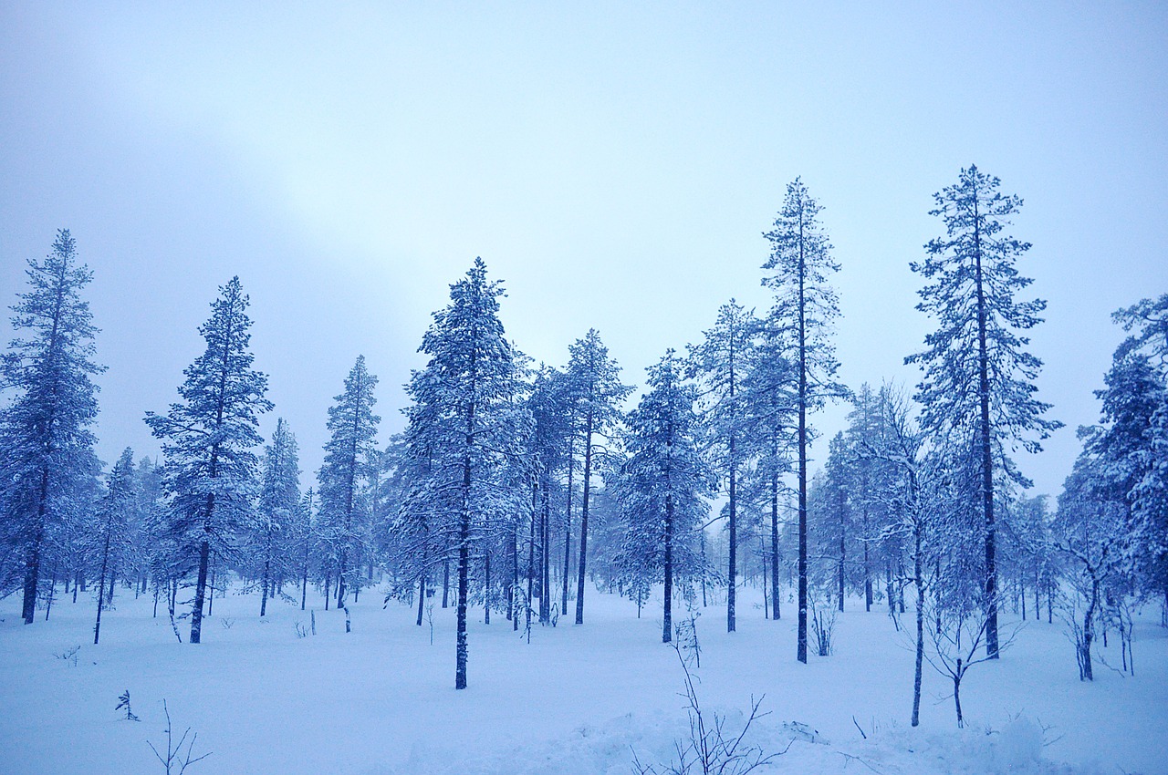 winter sweden cold free photo