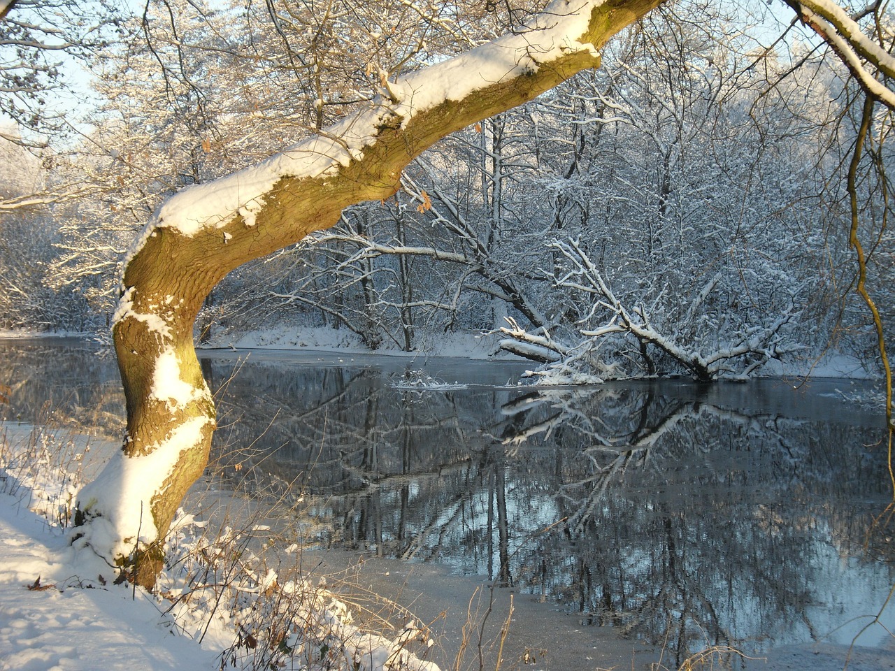 winter beautiful snow free photo