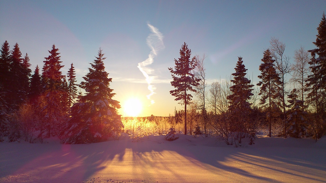 winter solar snow free photo