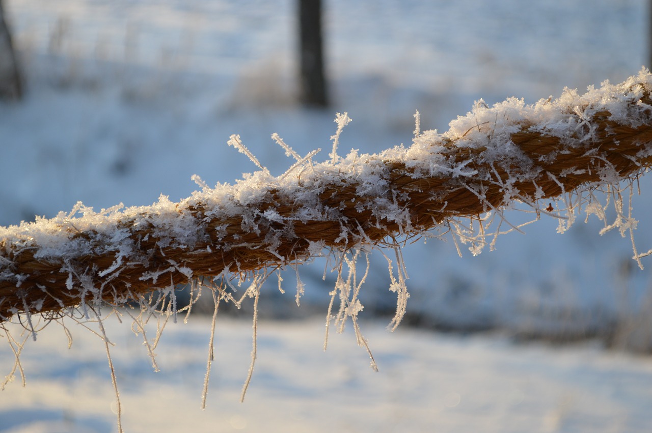 winter frost snow free photo