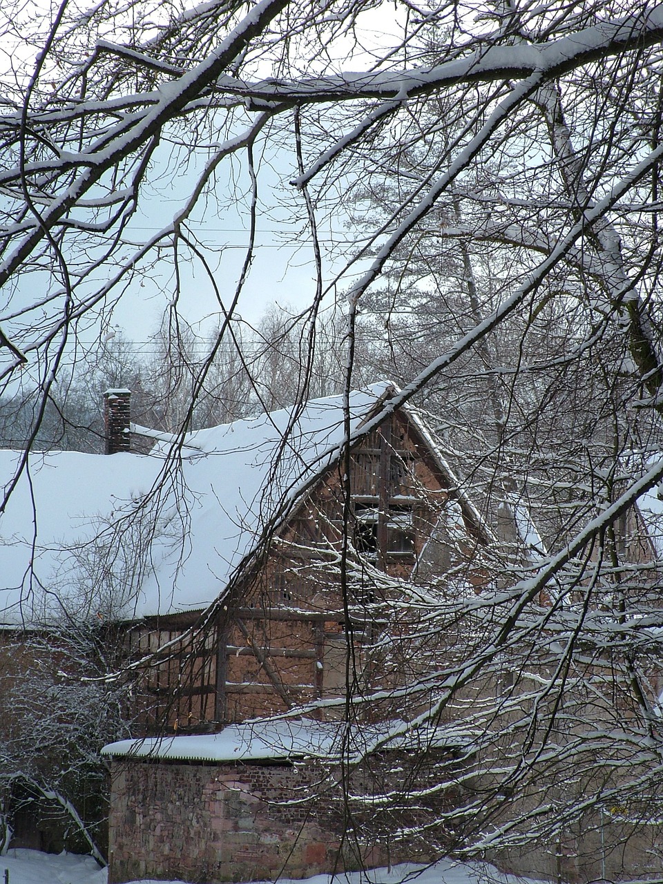 winter building snow free photo