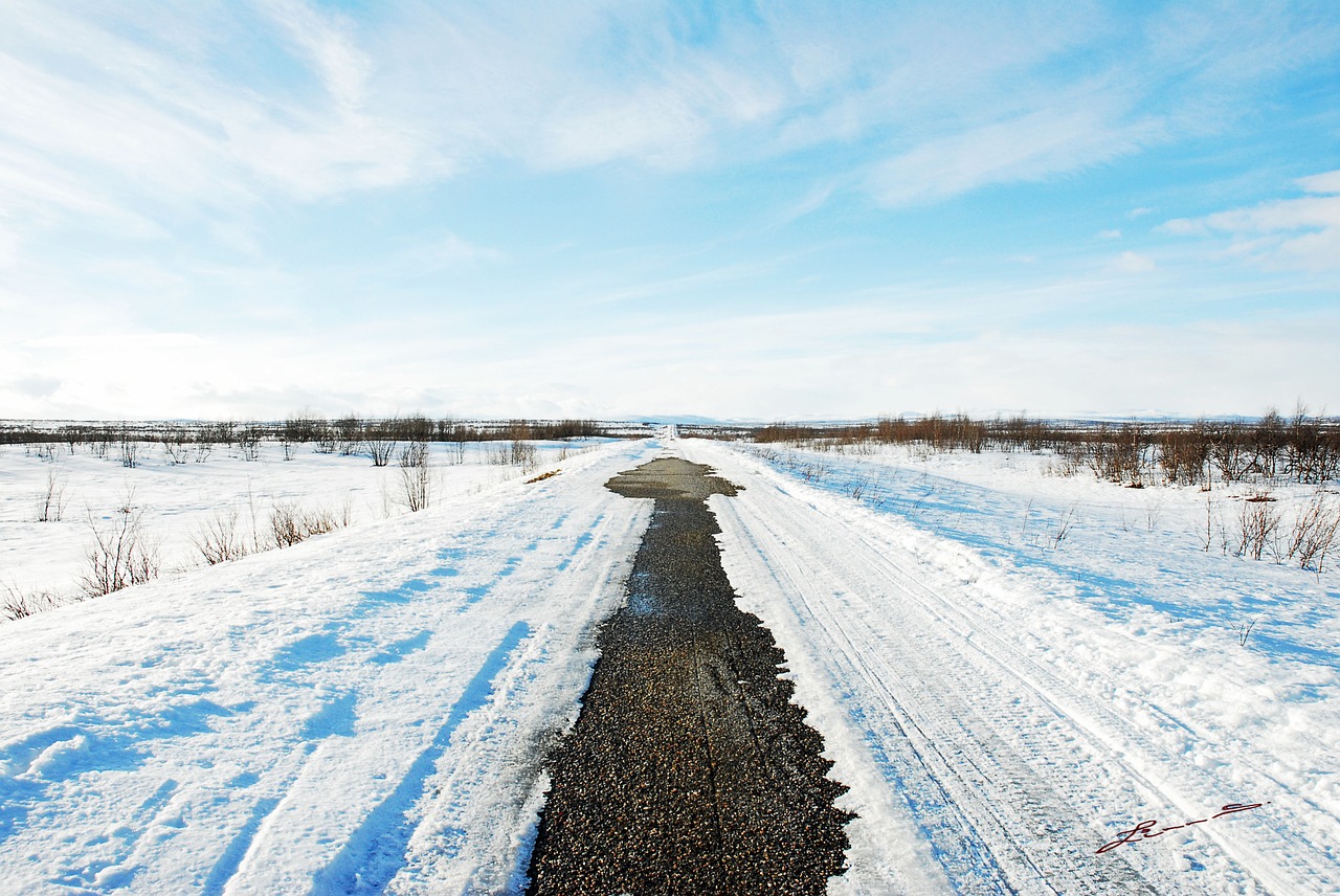 winter snow cold free photo