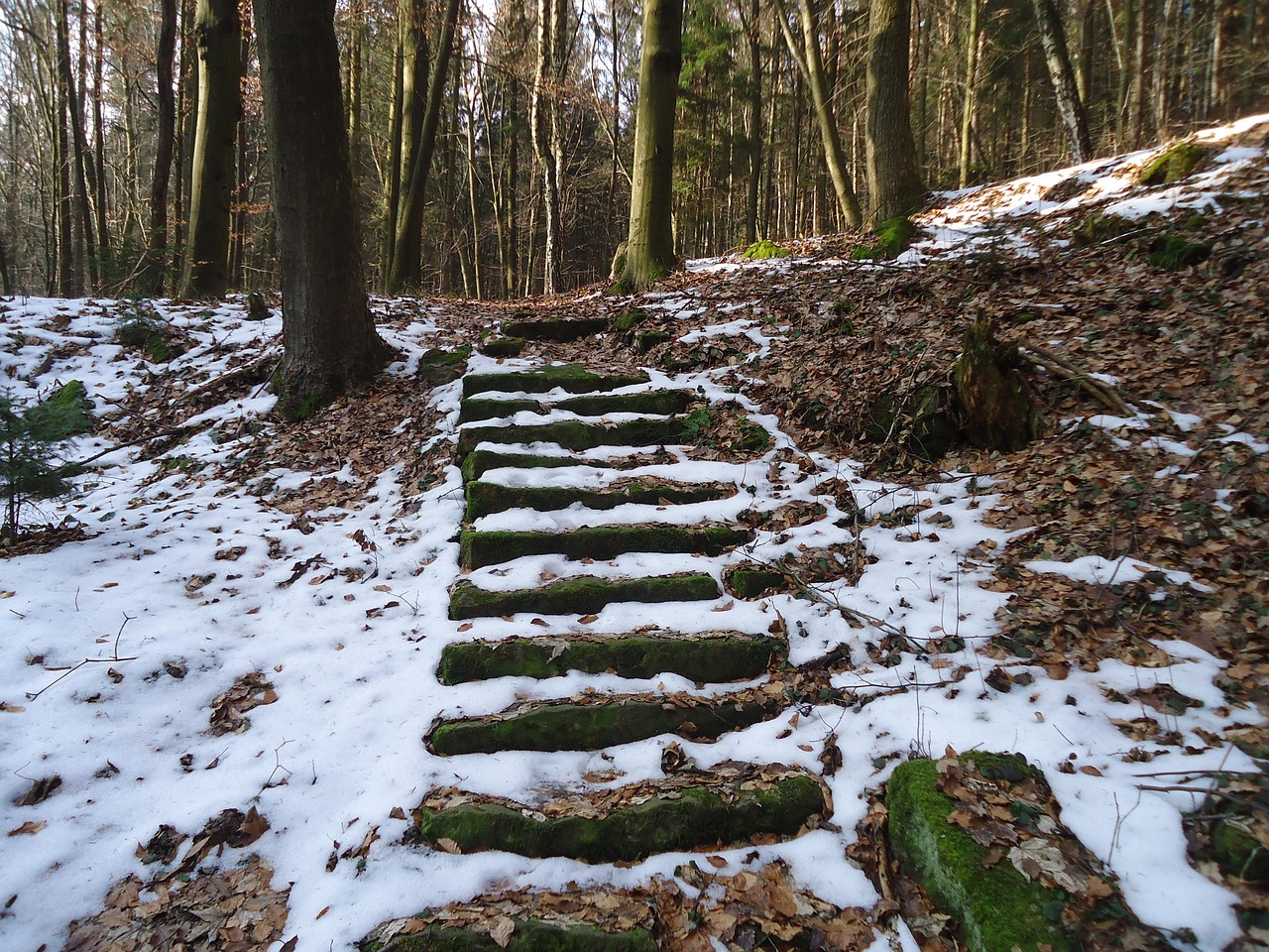 winter stairs forest free photo